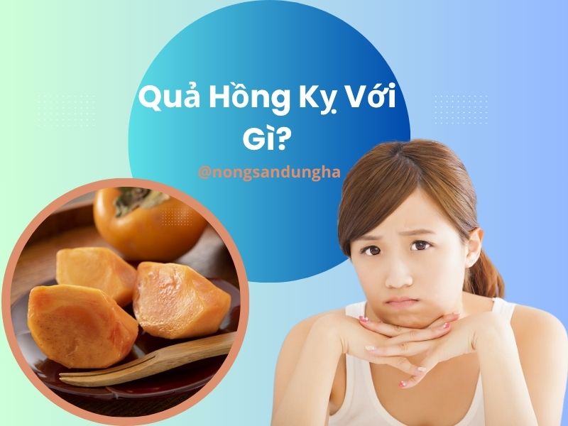 qua-hong-ky-voi-gi