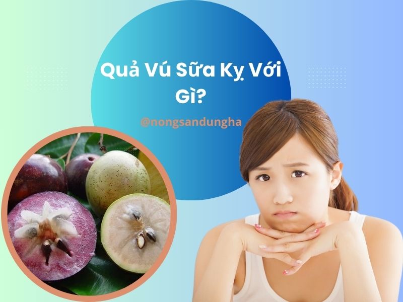 qua-vu-sua-ky-voi-gi
