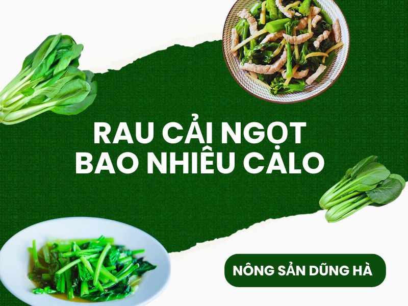 rau-cai-ngot-bao-nhieu-calo-dung-ha