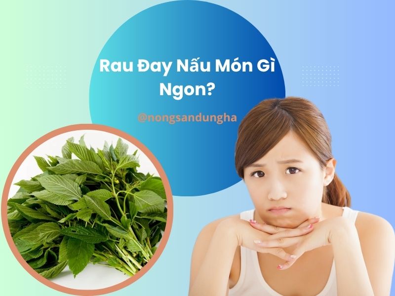 rau-day-nau-mon-gi-ngon