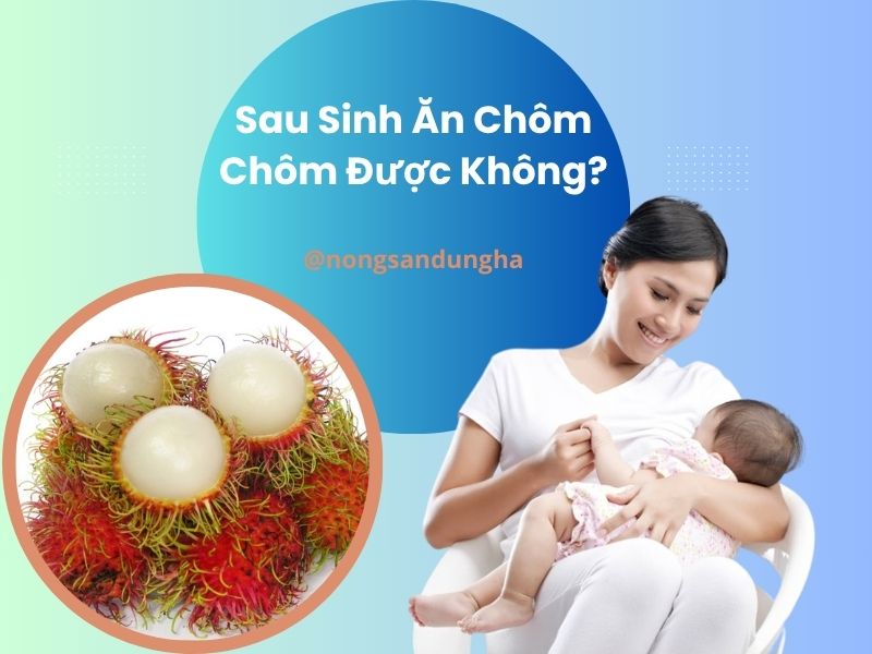sau-sinh-an-chom-chom-duoc-khong