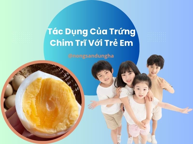 tac-dung-cua-trung-chim-tri-voi-tre-em