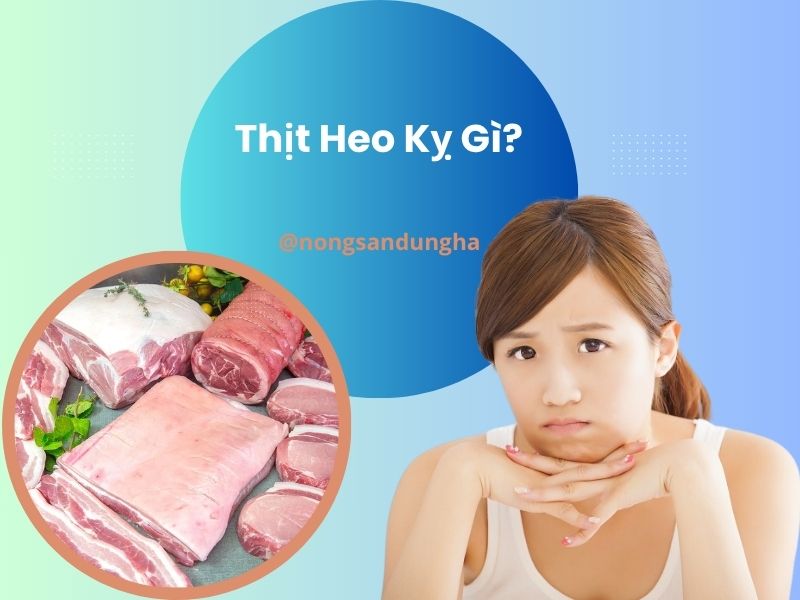 thit-heo-ky-gi