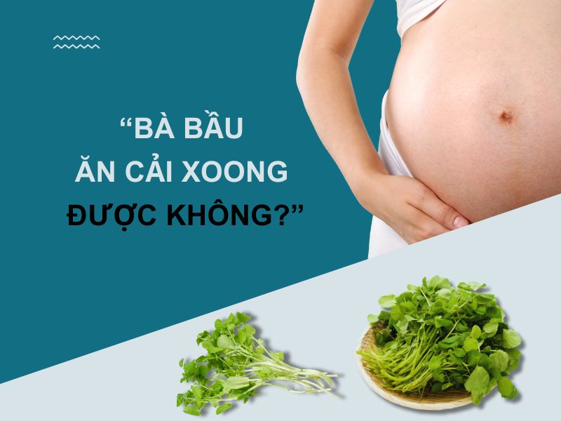 tim-hieu-bau-an-cai-xoong-duoc-khong