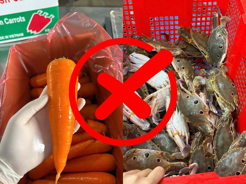 tim-hieu-ca-rot-ky-gi