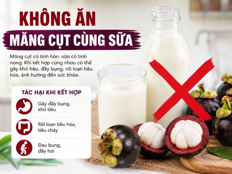 tim-hieu-mang-cut-ky-voi-gi