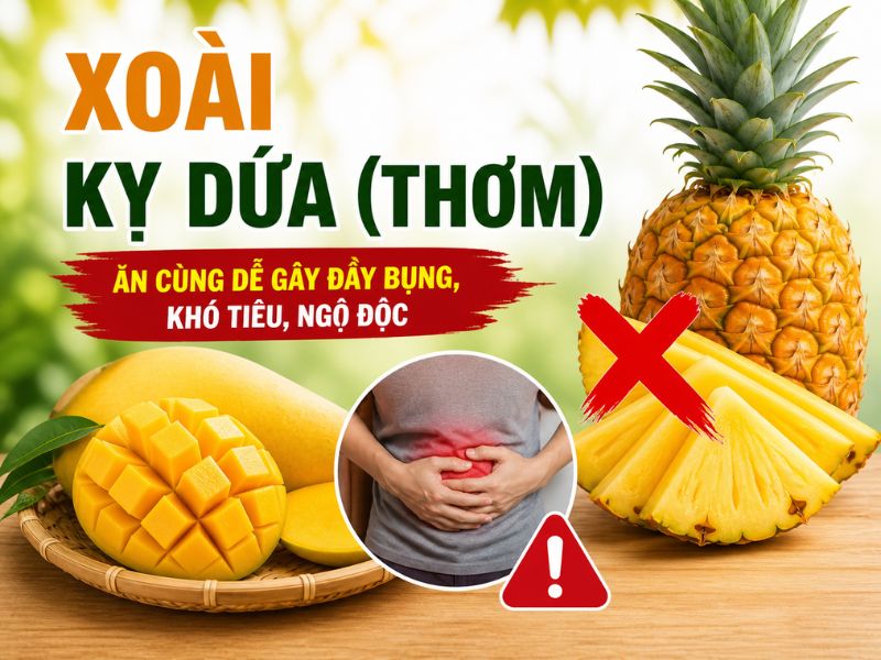 tim-hieu-xoai-ky-voi-gi.jpg