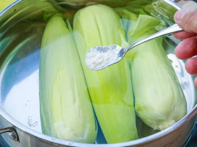 tra-loi-ngo-ngot-luoc-bao-lau-thi-chin