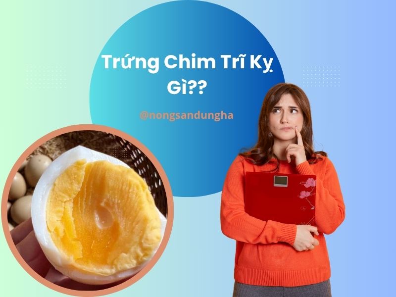trung-chim-tri-ky-gi