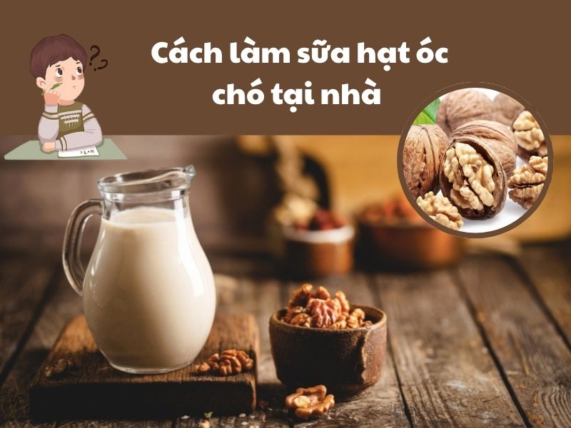 Cach-lam-sua-hat-oc-cho
