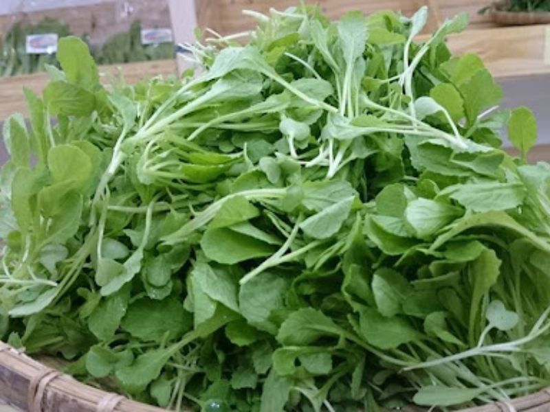 Rau-cai-con