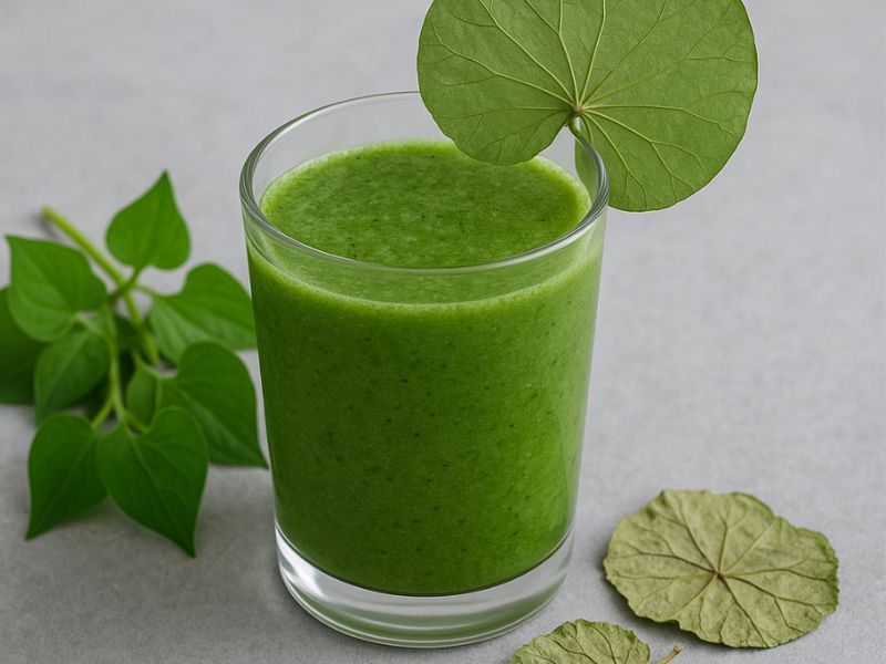 Rau-diep-ca-xay-la-sen-kho