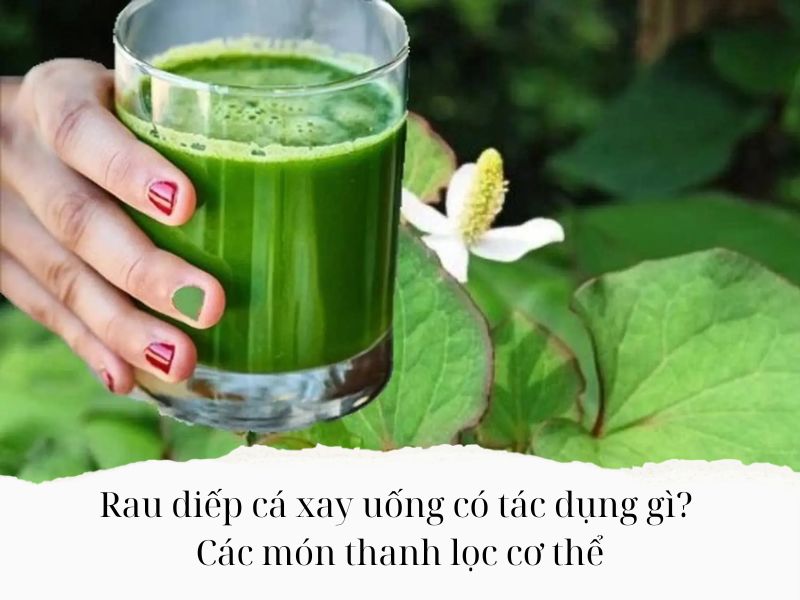 Rau-diep-ca-xay-uong-co-tac-dung-gi