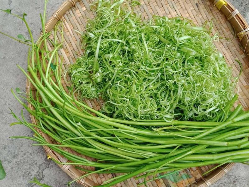Rau-an-bun-bo-gom-rau-muong-che