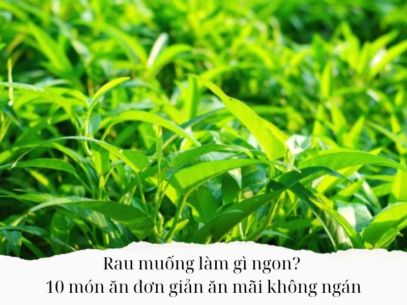 Rau-muong-lam-gi-ngon