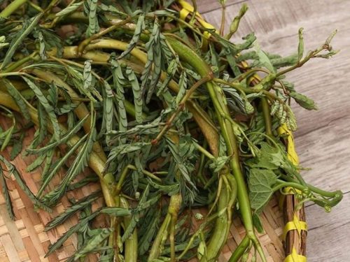 Raruth Rau rút nấu món gì? 10 công thức ngon dễ làm tại nhà