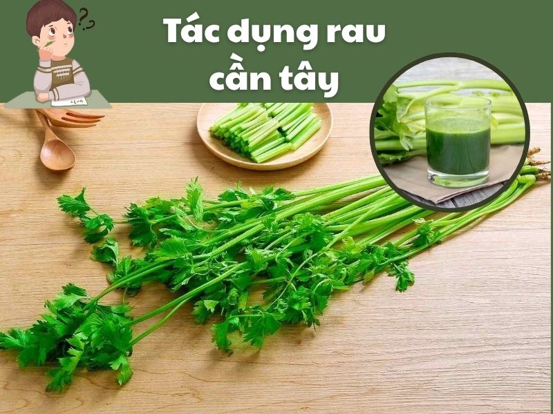 Tac-dung-rau-can-tay