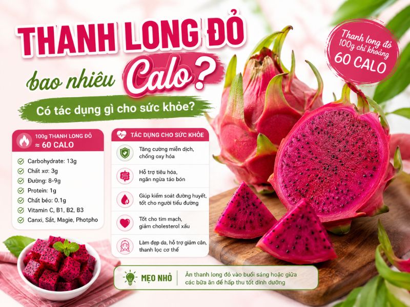 Thanh long đỏ bao nhiêu calo? Có tác dụng gì cho sức khỏe?