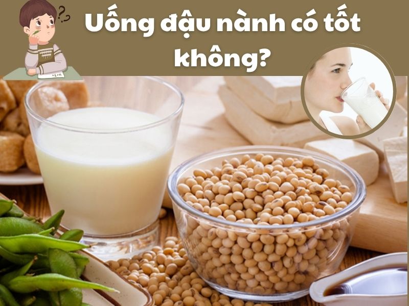 Tim-hieu-uong-dau-nanh-co-tot-khong