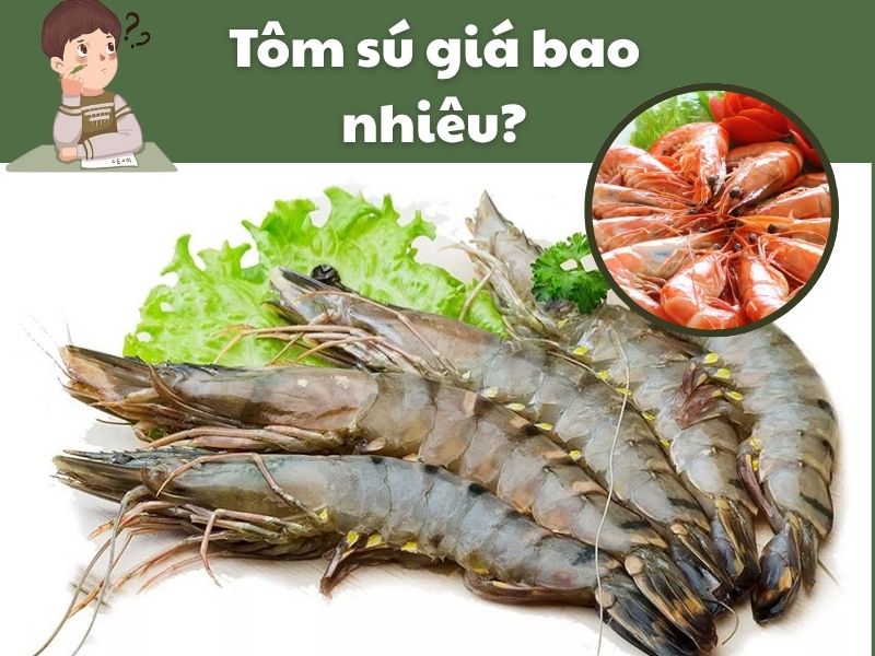 Tom-su-gia-bao-nhieu