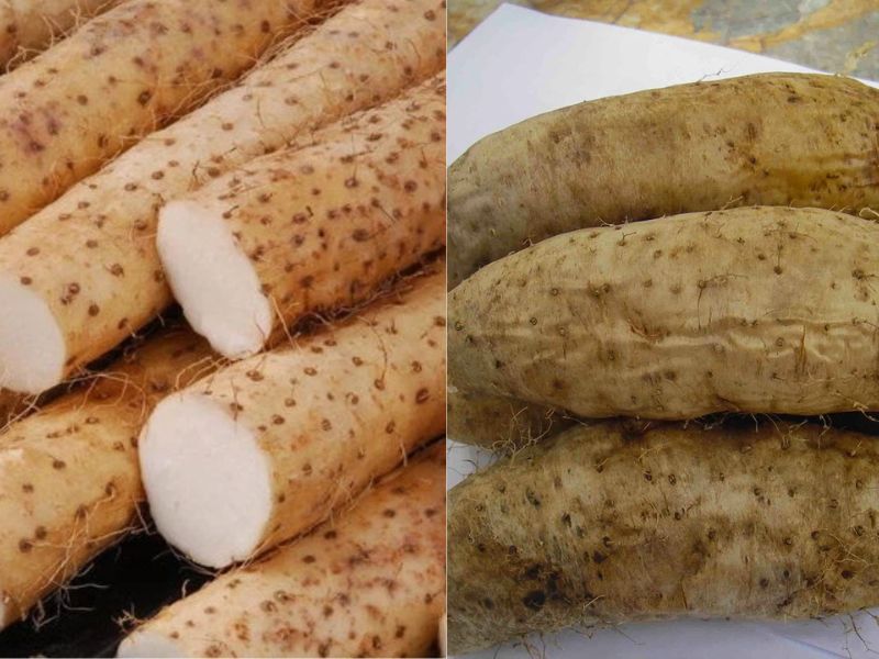 Vo-ngoai