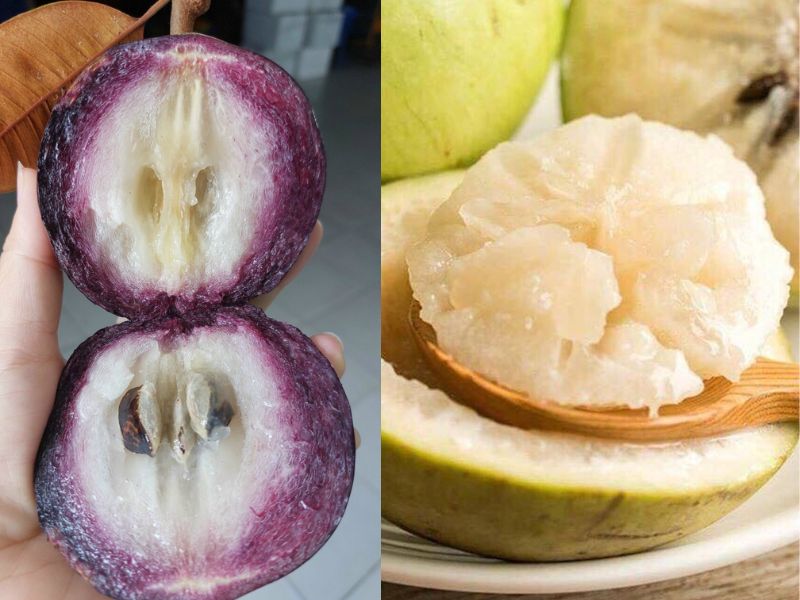 Vu-sua-trang-va-tim-loai-nao-ngon-hon-