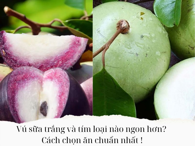 Vu-sua-trang-va-tim-loai-nao-ngon-hon