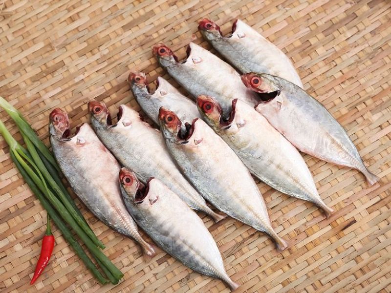 ca-bien-nong-san-dung-ha
