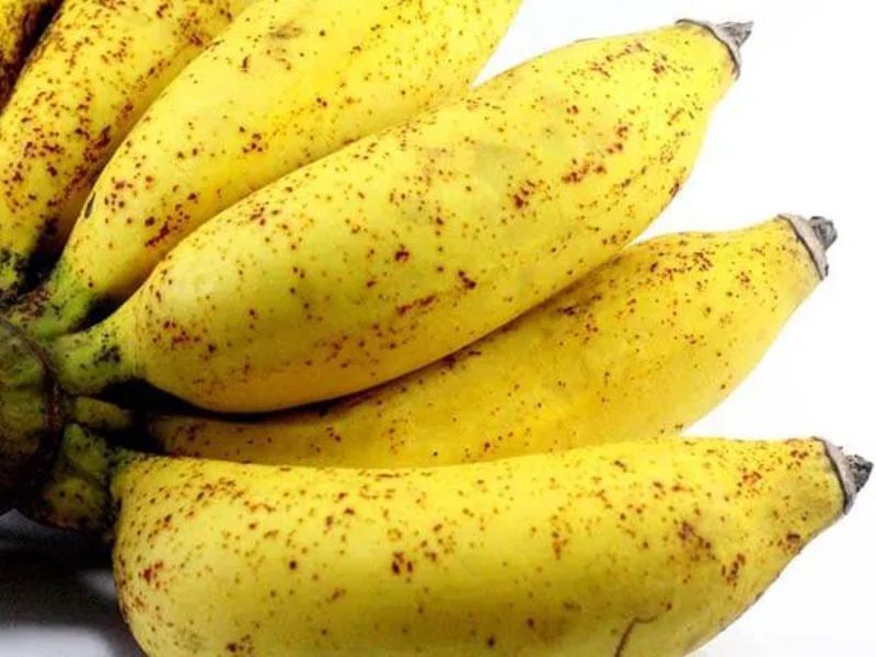 cac-loai-chuoi-o-viet-nam-chuoi-ngop