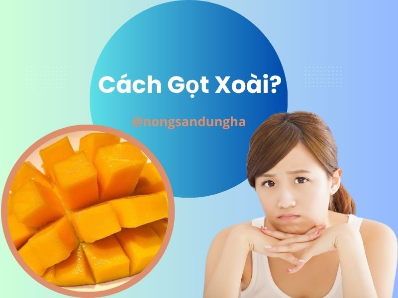 cach-got-xoai