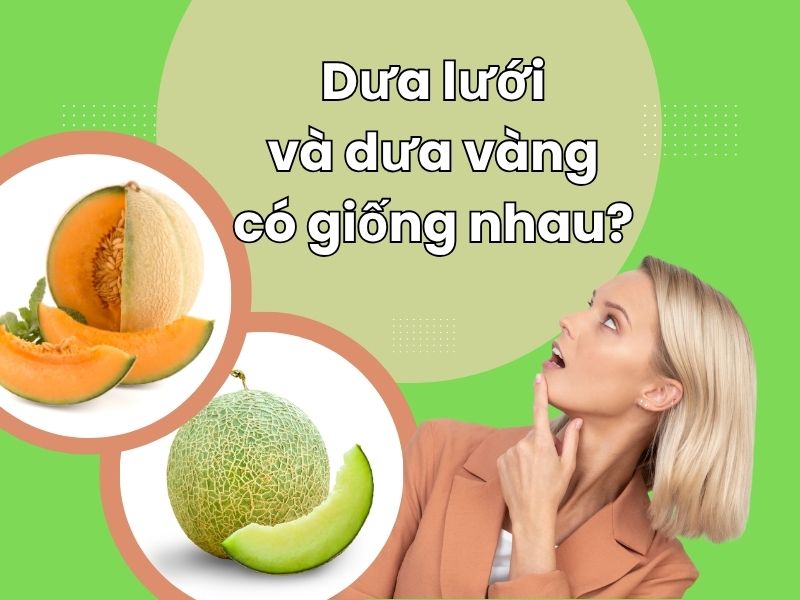 dua-luoi-va-dua-vang