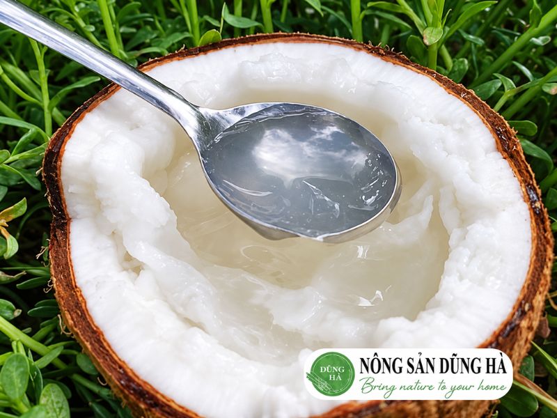 dua-sap-tra-vinh-loai-dac-sap-tai-nong-san-dung-ha