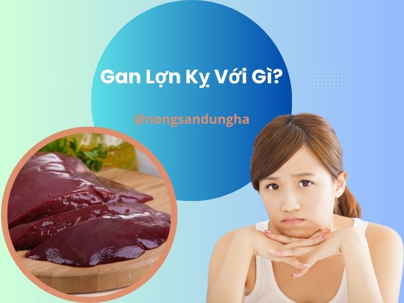 gan-lon-ky-voi-gi