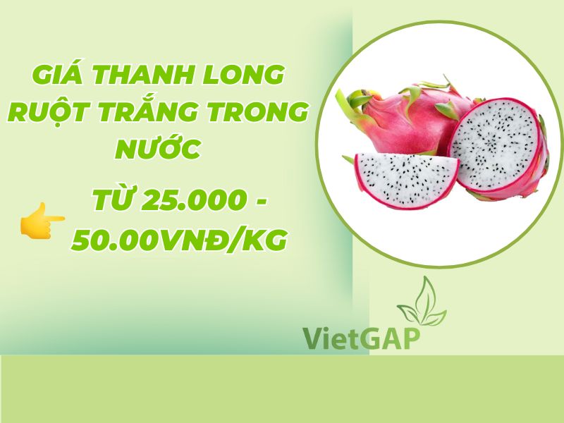 gia-thanh-long-ruot-trang-hom-nay-bao-nhieu
