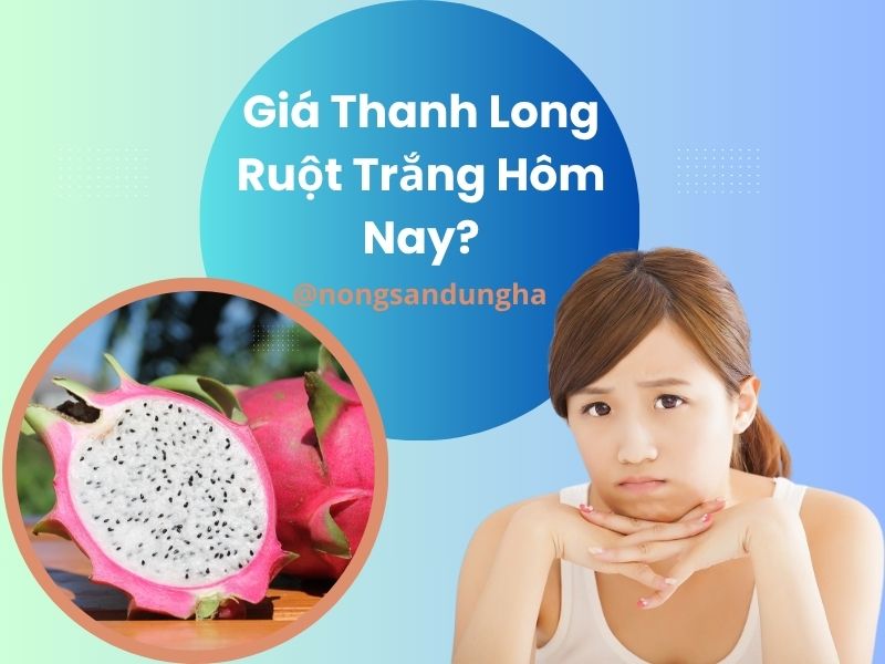 gia-thanh-long-ruot-trang-hom-nay