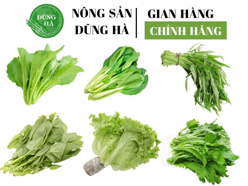 hat-giong-rau-sach-dung-ha-chat-luong-cao