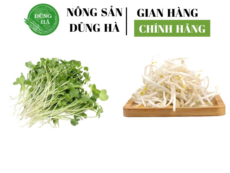 hat-giong-rau-sach-nong-san-dung-ha-chat-luong