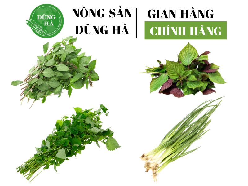 hat-giong-rau-sach-sieu-thi-dung-ha-chat-luong-cao