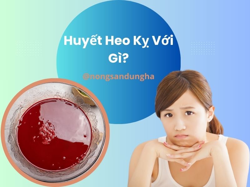 huyet-heo-ky-voi-gi