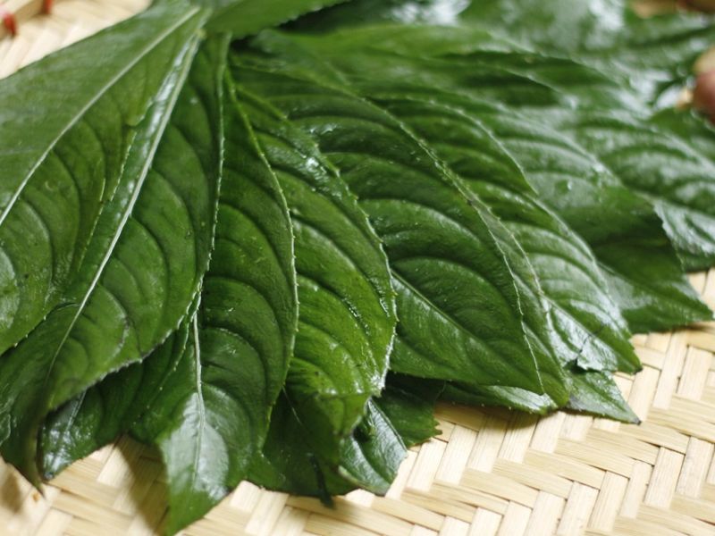 kham-pha-la-xuong-song-nau-mon-gi-ngon-de-lam