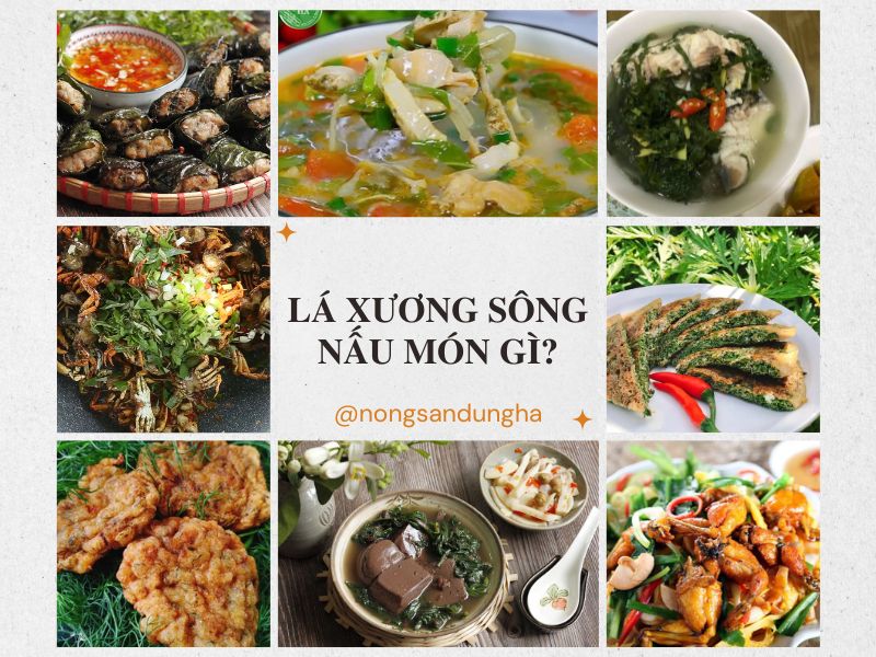 la-xuong-song-nau-mon-gi