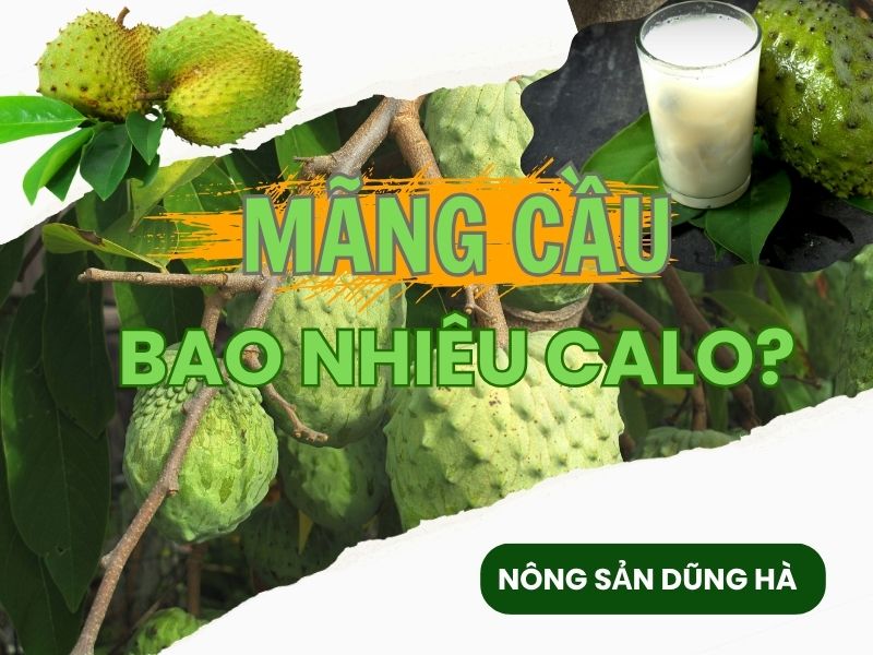 mang-cau-bao-nhieu-calo