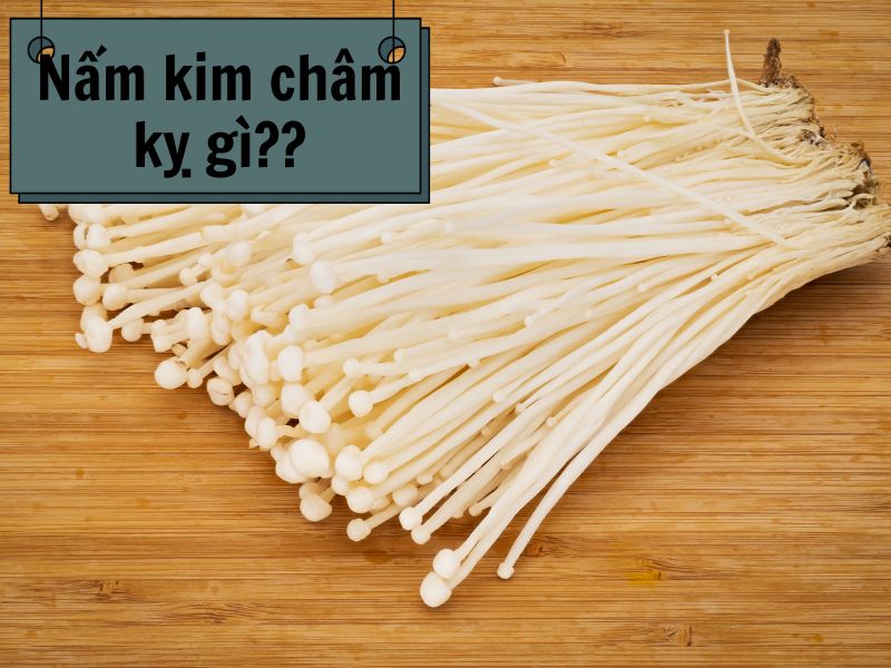 nam-kim-cham-ky-gi