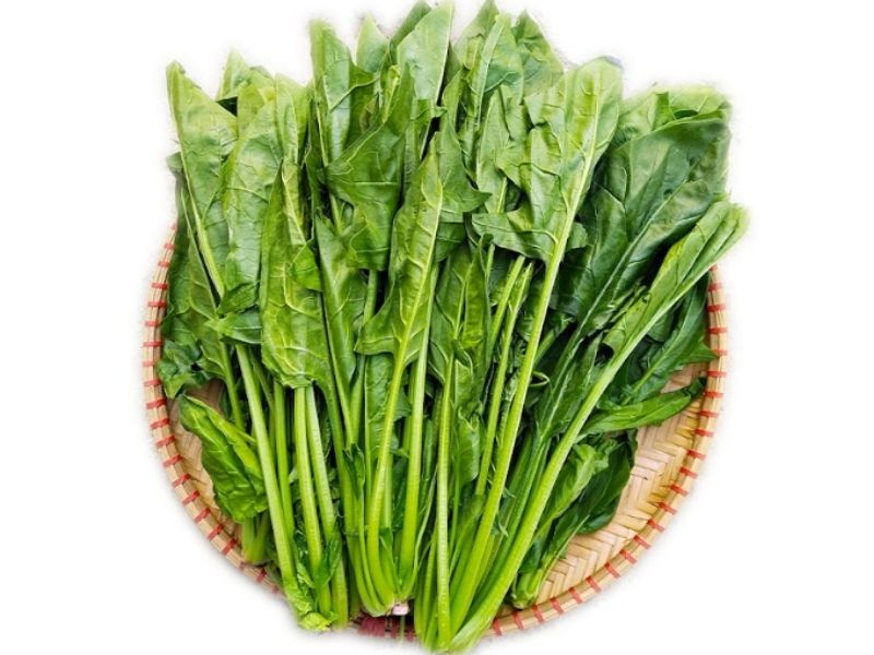 phan-biet-cac-loai-rau-cai-cai-bo-xoi