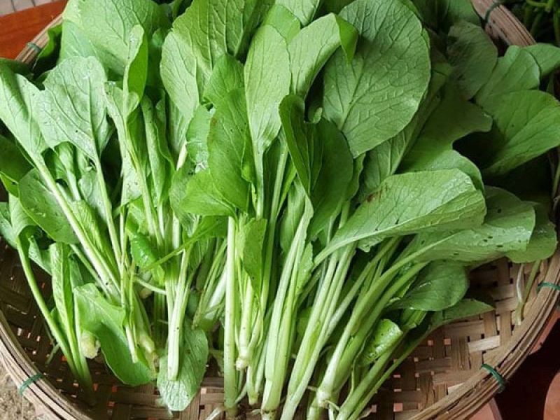 phan-biet-cac-loai-rau-cai-cai-ngot