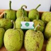 qua-sake-tuoi-1kg-tai-nong-san-dung-ha-uy-tin