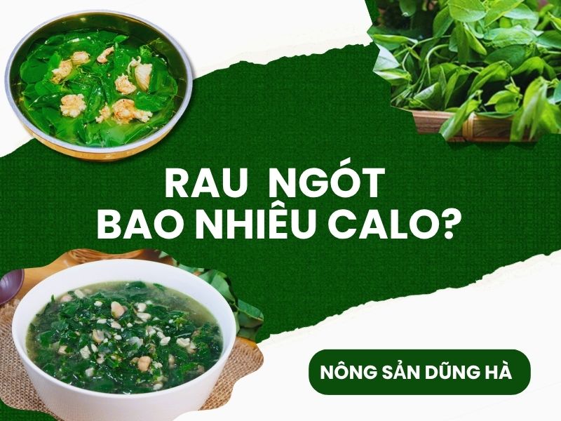 rau-ngot-bao-nhieu-calo
