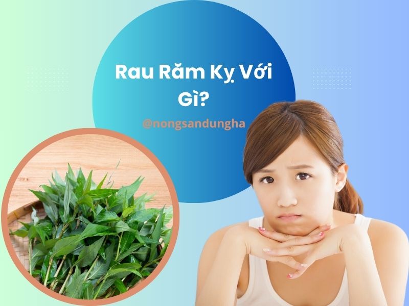 rau-ram-ky-voi-gi