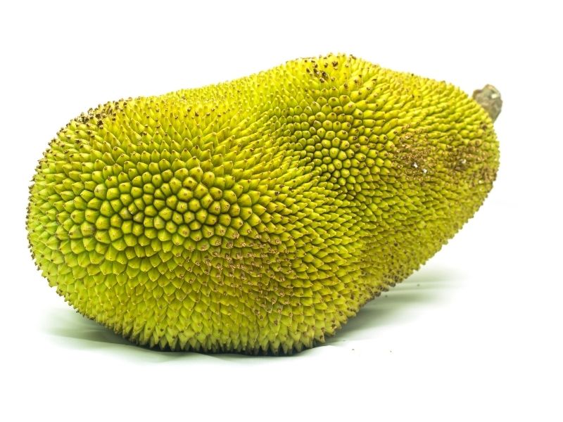 tim-hieu-cach-bo-mit