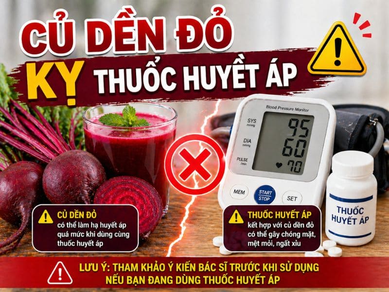 tra-loi-cu-den-do-ky-voi-gi